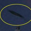 휴대전화로 찍은 선명한 ‘검은색 UFO’ 중국서 포착