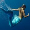 살아있는 인어공주?…고래와 헤엄치는 어느 여성의 사연