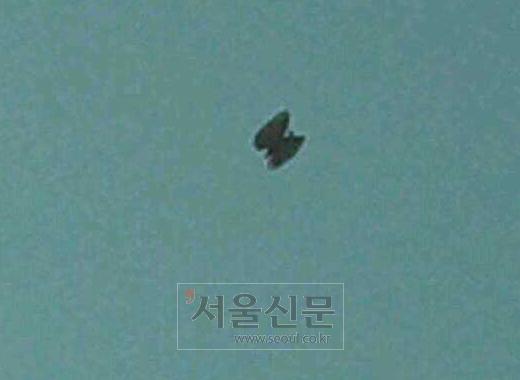 인천 비대칭 UFO