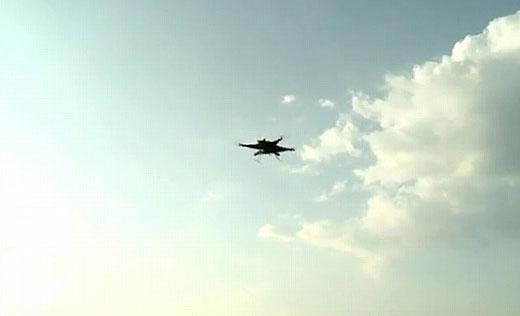 고양이 헬기 논란