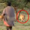 사자 먹이 빼앗는 아프리카 부족, 비법 알고보니…
