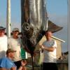 무게 599kg ‘괴물 청새치’ 25년만에 낚은 남성