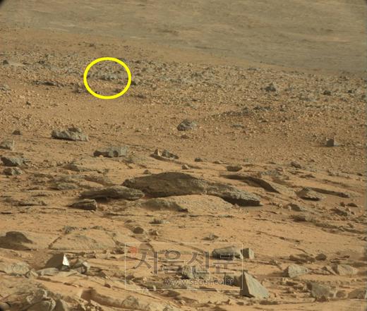 ‘꼬리 달린’ 화성생명체