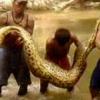 사람도 꿀꺽하는 괴물 ‘아나콘다’ 잡혔다