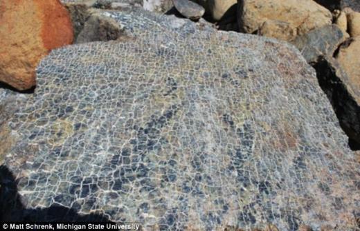 땅 속 5km서 미생물 발견…인류 기원은 지하?