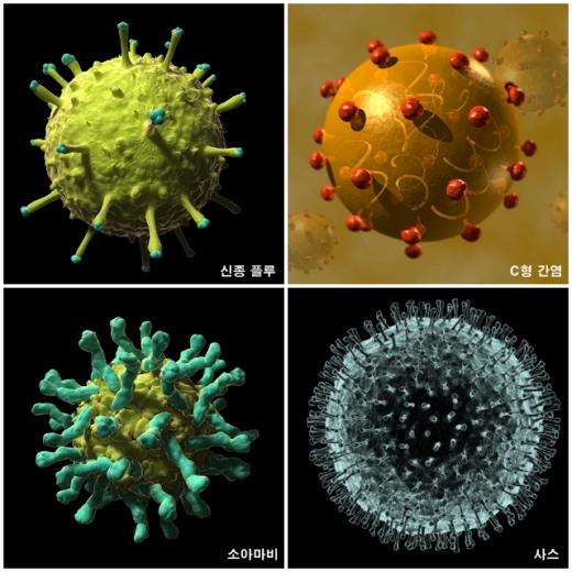 (시계 방향으로) 신종 인플루엔자, C형 간염, 소아마비, 코로나(사스) 바이러스