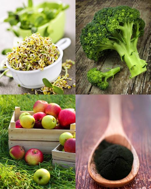 새싹(왼쪽부터 순서대로), 십자화과 채소, 사과, 조류