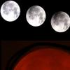 [포토 story] ‘핏빛 붉은 달’ 저주 내린다는 ‘블러드문’ 포착