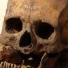 폴란드서 실제 중세 뱀파이어 유골 발견?