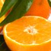 새콤달콤 ‘오렌지’에 숨겨진 의학적 비밀