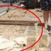 대낮에 ‘길이19m 담’ 통째 훔친 간큰 도둑들
