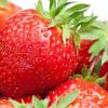딸기, 혈압 낮춰준다…폐경후 고혈압 환자 효과