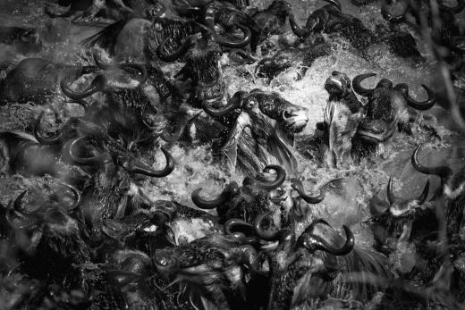 단테스 인페르노(Dantes inferno), 카렌 루니(호주)