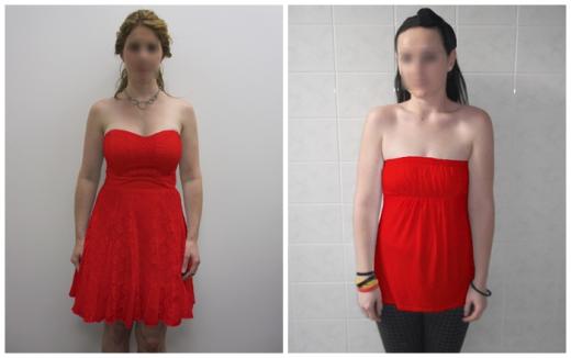 로체스터 대학 연구진이 실험에 활용한 빨간 드레스 여성 이미지