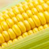 살만 찐다고? 여름간식 ‘옥수수’에 대한 오해와 진실