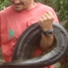 개 통째로 꿀꺽한 아나콘다 잡혔다