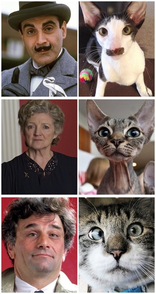 (위에서부터) ‘에르큘 포와로(데이비드 서쳇)’와 유사한 샴 고양이, ‘미스 마플(줄리아 맥킨지)’과 닮은 샴고양이, ‘콜롬보 형사(피터 포크)’와 닮은 고양이