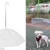 개, 비 맞히지 마세요…이색 우산 등장