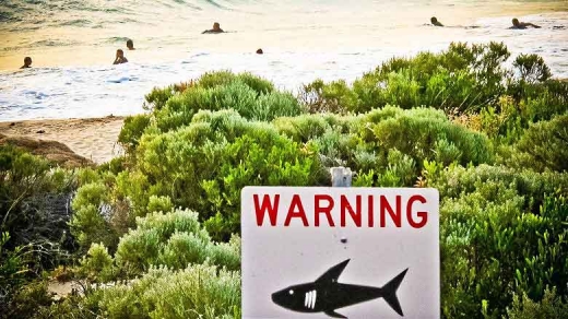상어 출몰의 위험을 알리는 해안가 표지판