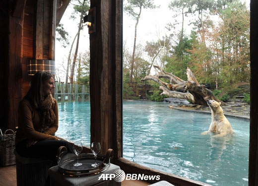 북극곰과 하룻밤