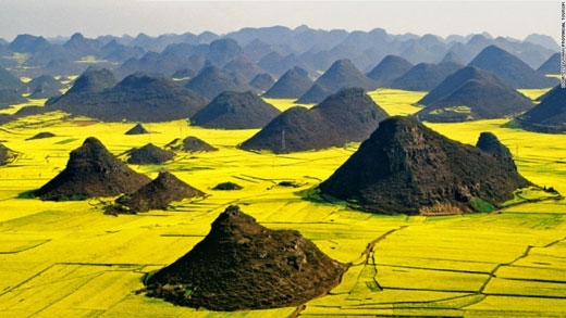 7. 뤄핑 유채꽃 평원 (중국)