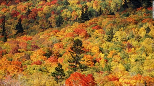 14. 화이트 산맥 (미국)