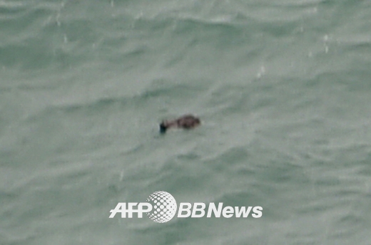 실종 에어아시아기 잔해 및 시신 발견