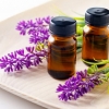 “라벤더향(香), 신뢰감 높이는 효과도 있다” (네덜란드 연구)
