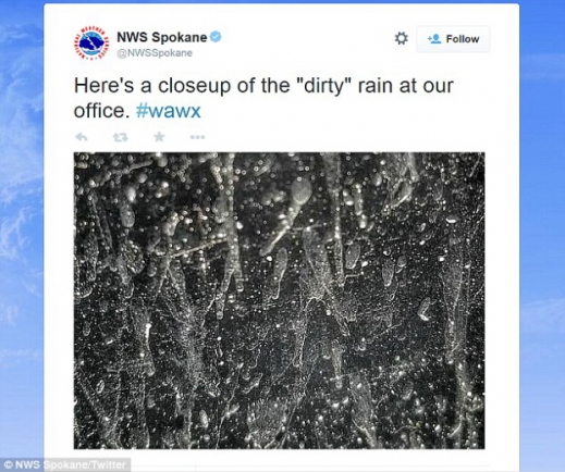 사무실 창에 흐르는 우윳빛 비