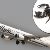‘땅콩’ 아니라 ‘전갈’ 한마리가 美항공기 회항시키다