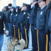 경찰견, 동료들의 경례 속에 ‘저승길’ 떠나다