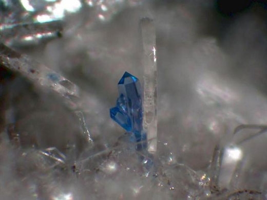 2. 에레메이파이트