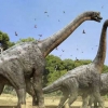 몸길이 40m…세계 최대 덩치 ‘신종 공룡’ 발견