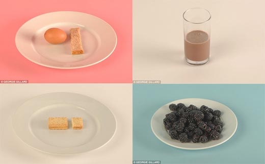 달걀과 호밀빵, 초콜릿 우유, 커스터드 크림 비스킷, 블랙베리