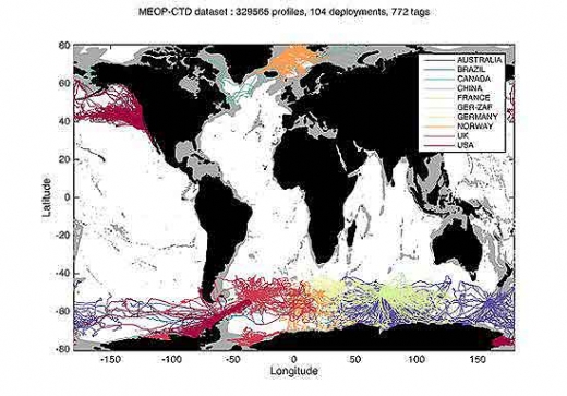 ‘장치’ 쓴 코끼리 바다표범들이 이동한 경로