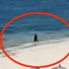 [튀니지 테러] 범인, 범행 후 해변 배회 동영상 공개