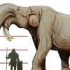 무려 5m 키 ...무시무시한 ‘아프리카 코끼리 조상’ 발견