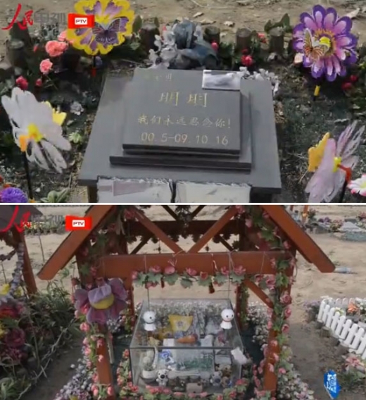 중국 베이징의 반려동물 전용 공동묘지