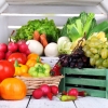 달콤해진 과일·채소...유익한 성분은 되레 줄어