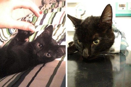 13. 우리는 어제 그를 떠나 보냈다…. 난 그를 너무 많이 사랑했다.