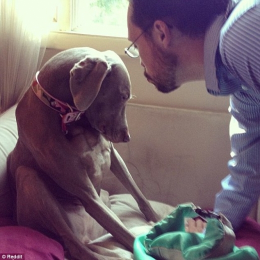 “내가 이렇게 막아도 가나요?”