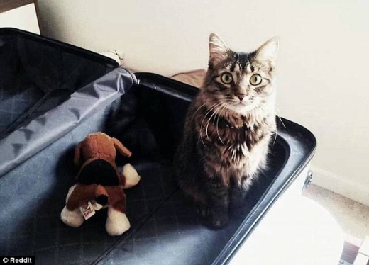 “자네 정말 가려는가?”