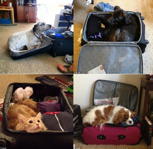 “이렇게라도 막고 싶어”