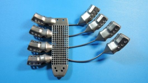 Credit: Anatomics/CSIRO