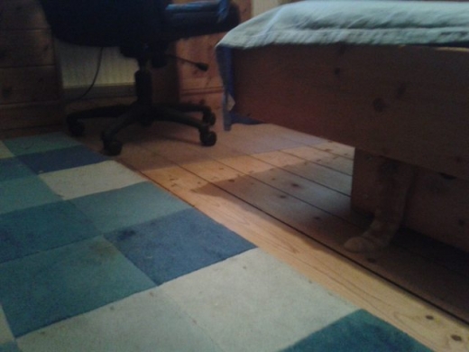 ▲ 레벨 2. 팁: 꼬리를 찾아 내면 쉬워요