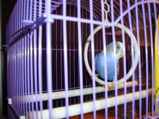 ▲ 레벨 3. 팁: 배경에 주목!