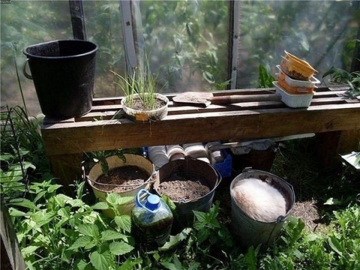 ▲ 레벨 3. 팁: 찹쌀떡?