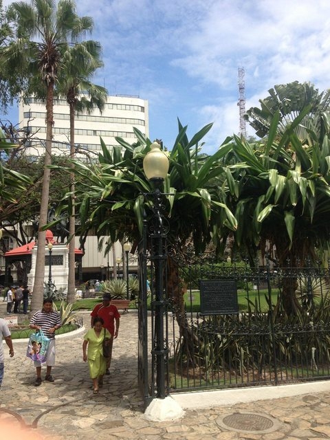 ▲ 레벨 7. 팁: 높은 곳을 좋아하죠?