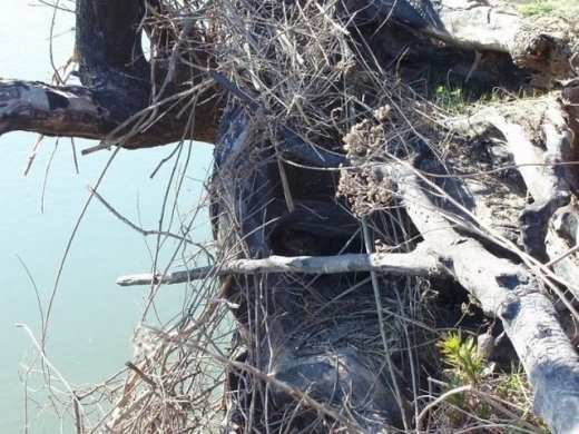 ▲ 레벨 9. 팁: 중간을 보면…