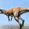 식칼같은 ‘발톱’ 가진 신종 공룡 ‘번개 발톱’ 발견